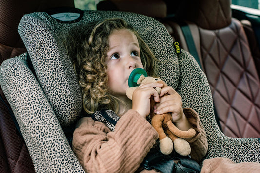 Maxi Cosi AxissFix Hoes | Groen