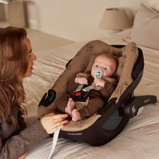 Maxi Cosi Pebble 360 hoes | Nijntje
